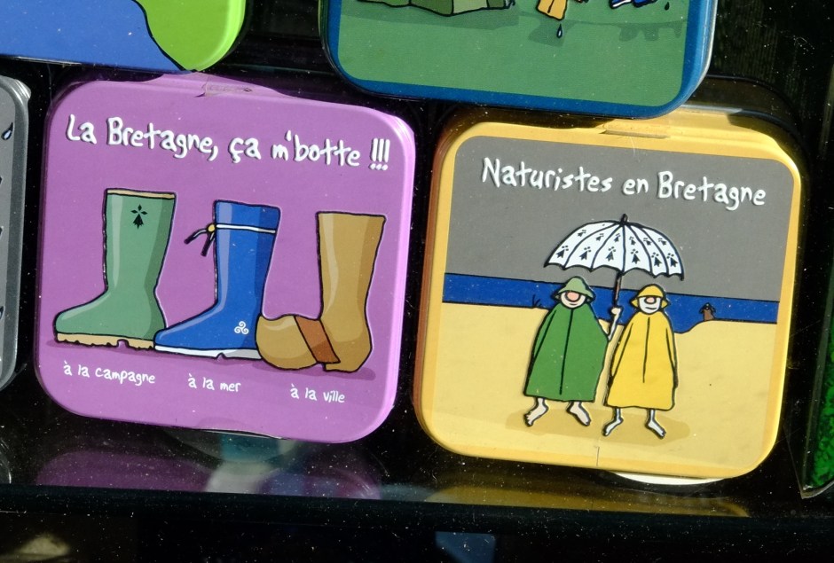 dscf0133%e3%81%ae%e3%82%b3%e3%83%92%e3%82%9a%e3%83%bc3