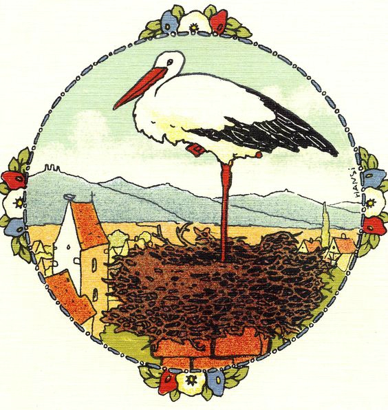 アンシのコウノトリ